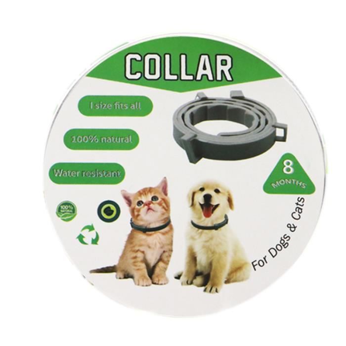 Collier Antiparasitaire Pour Chat Et Petit Chien Collier Anti Puces Et Anti Tiques 38 Cm Cdiscount