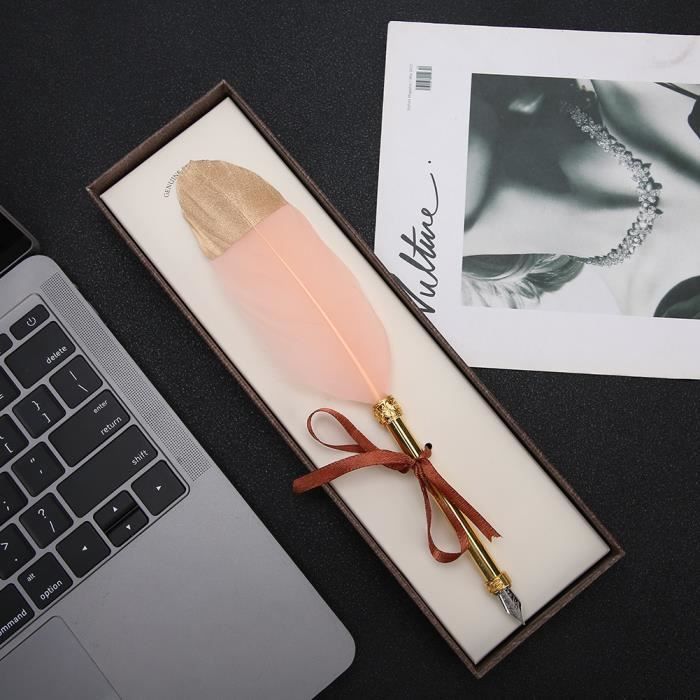Stylo Plume Pilot M90 - Occasion, Acier Argenté, Avec écrin Et Housse