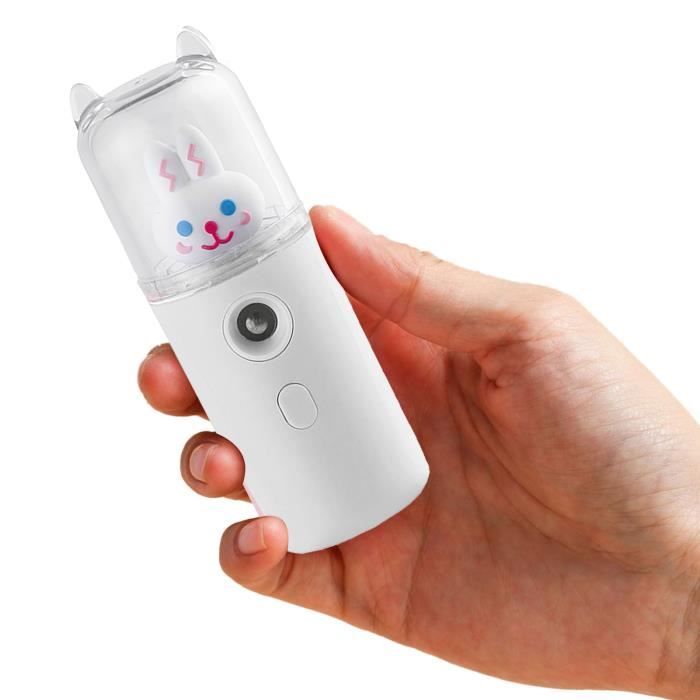 Pulvérisateur De Brume Faciale - ZERODIS - 30ml - Rechargeable Par USB - Design Mignon