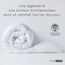 Couette, oreiller, traversin 200 x 200 cm - Linge de lit