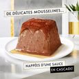 GOURMET REVELATIONS Mousseline au Thon et au Saumon nappée de sauce - 48 X 57g - Portions repas pour chats adultes-2