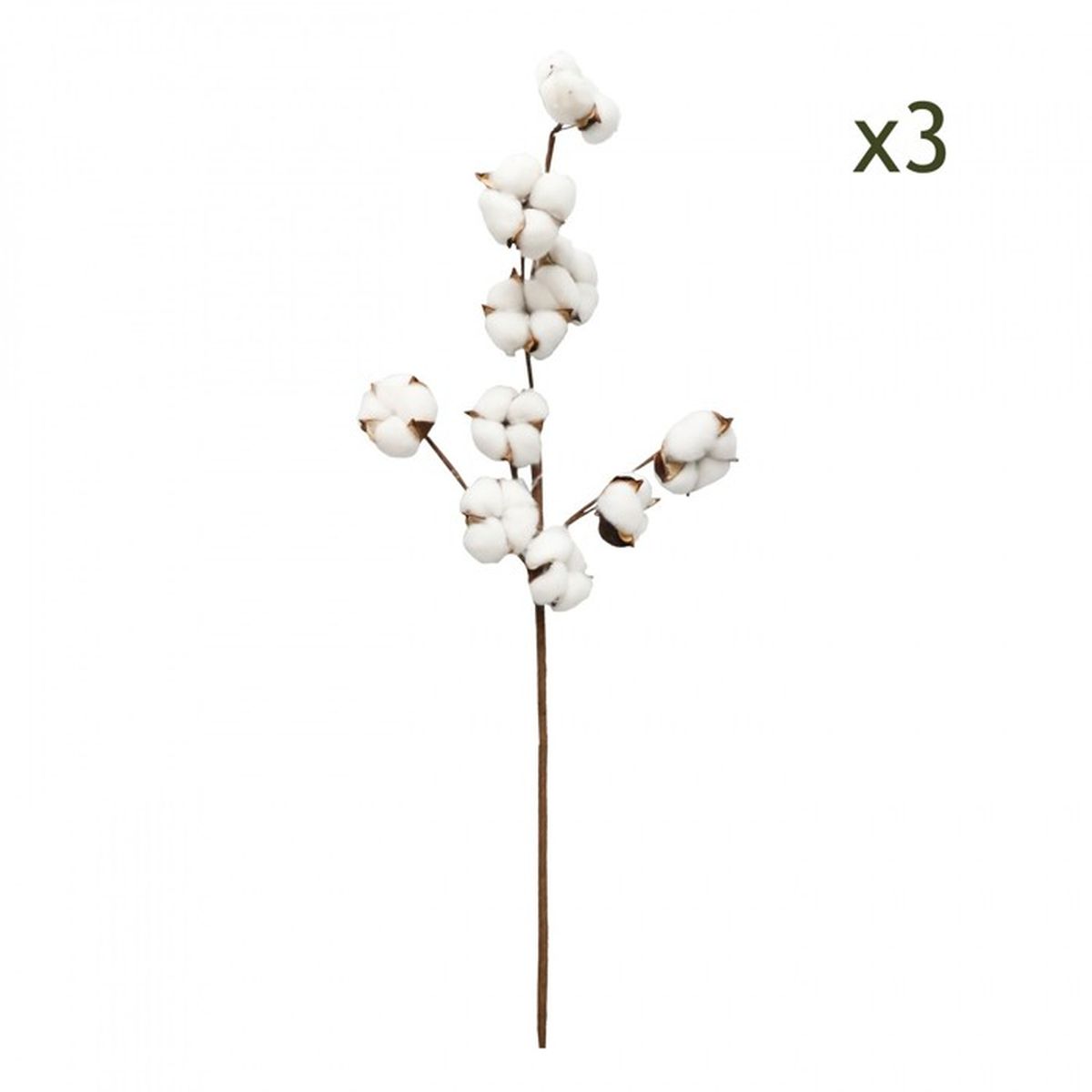 Lot de 3 Branches de Coton H.70cm - Décoration Intérieur Maison Bureau -  Tige Fleur Séchée Naturelle Composition Florale - CARLEE - Cdiscount Maison