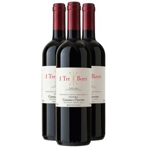 VIN ROUGE Toscane I Tre Borri Rouge 2019 - Lot de 3x75cl - Fattoria Corzano e Paterno - Vin IGT Rouge - Origine Italie - Cépage Sangiovese