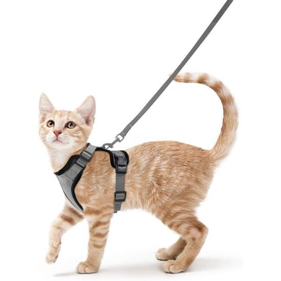 Harnais Pour Chat Avec Laisse – Anti-évasion, Réglable Et Réfléchissant – Taille M, Gris - 1
