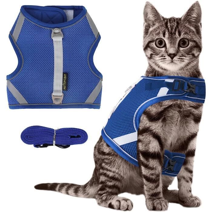 Ensemble Harnais Et Laisse Pour Chat Escape Proof Mesh Veste De
