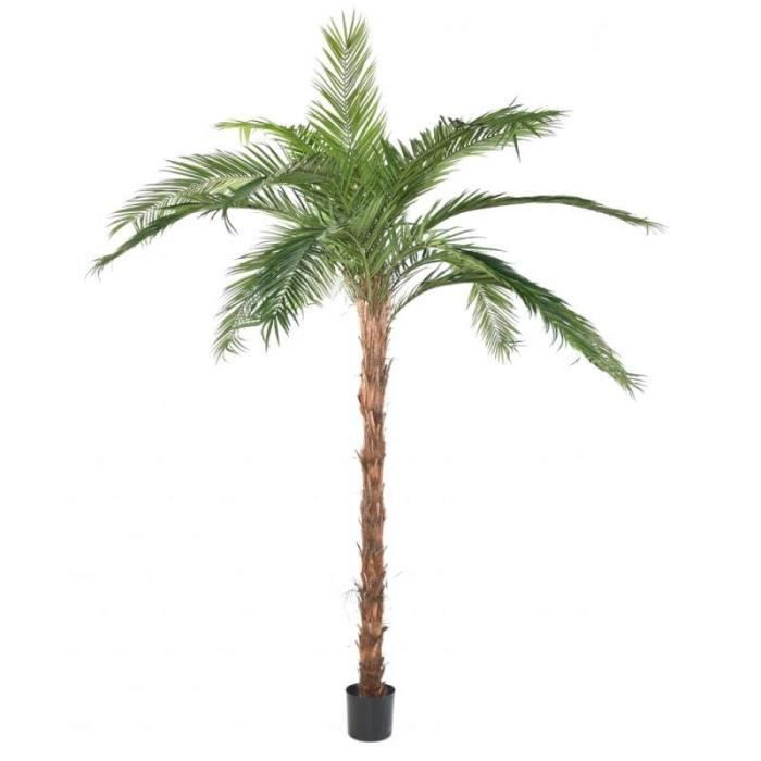 Phoenix Canariensis Feuille Sèche Arbuste Artificiel Palmier Phoenix Canariensis Tn 3 40 H 340