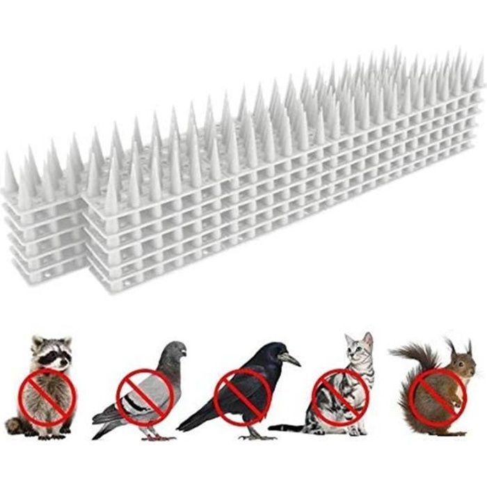 EXLECO 30Pcs Pointes d'oiseaux en Plastique 10M Pics Anti Pigeon Répulsif Piegeon Pointe de 3,6cm de Defense Animale en Plastique avec Pointe de 1,2cm Court pour Rebords Fenêtres Toits Noir