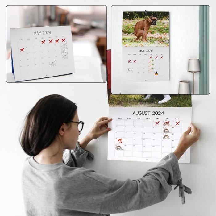 Calendrier Mural 2026 – 12 Mois 27x21 Cm – Illustrations Animaux – Fabriqué En France, Certification PEFC