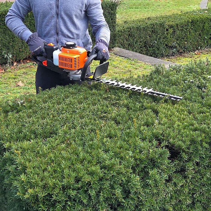GT GARDEN Taillehaies thermique, 22.5 cm3, 1.1 CV, double lame 55 cm — free download