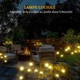 Lampe Solaire Exterieur Jardin - VALUESELLER - 2 Pièces- 10 LED par pièce - Blanc Bhaud - 2 Modes d'éclairage-3