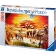 Puzzle 3000 pièces - La fierté du Massaï - Ravensburger - Puzzle adultes - Dès 14 ans-0