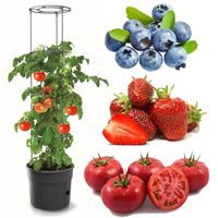 Pot à tomates 28 L avec support pour branches, planteur à plantes, pour légumes, jardinière aux fraises et concombres