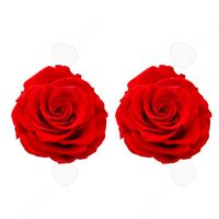 CONFO® Fleur éternelle 6-7cm tête de rose 2 cadeau de fleur, cadeau de Saint Valentin, cadeau de fleur de fleur éternelle de rose ro