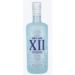 GIN Gin Dry XII - 42° 70 cl