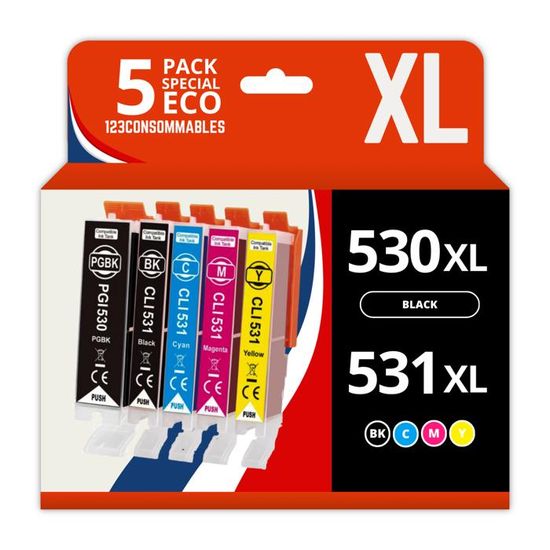 Lot De 6 Cartouches D'encre Compatibles Canon Pixma TS - Modèles PGI530/CLI531 XL
