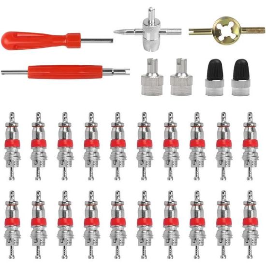 28pcs démonte valve pneu outil, voiture valve pneu extracteur, valve core remover avec noyaux de