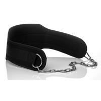 Ceinture de lestage