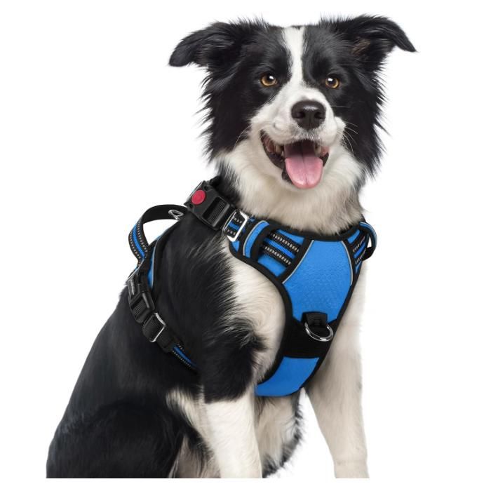 Comparer les prix de rabbitgoo Harnais Chien Anti Traction avec 3 boucles pour Chien Facile à Mettre Harnais Réfléchissant Réglable pour Chien Bleu M