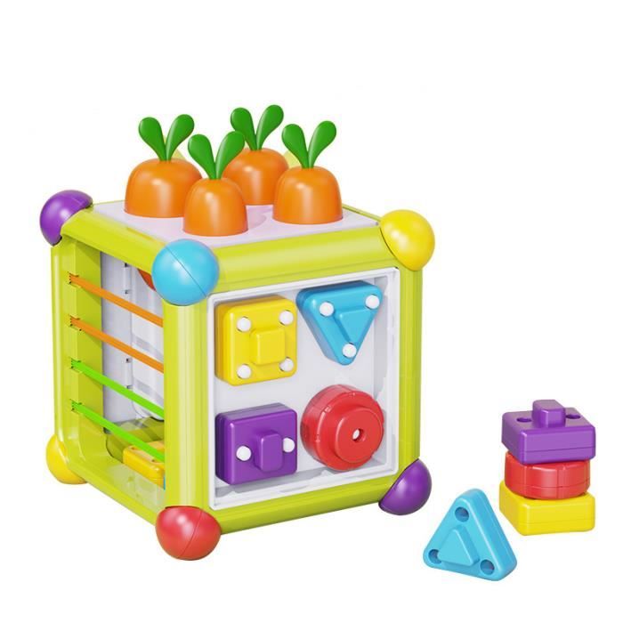 Jouet Bebe 1 an, Jeux Montessori Bebe Cube d'Activité Jouets d'Éveil Jeu  Sensoriel Motricité Cadeau Noel et Anniversaire Educatif