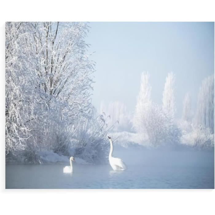 ZEELANNA Diamond Painting Adulte Paysage, Diamond Painting, Diamant Painting, Peinture Diamant, Broderie Diamant Kit Complet, Tableau Perle Diamant, Vue Sur Le Lac Murale Décoration 30x40cm