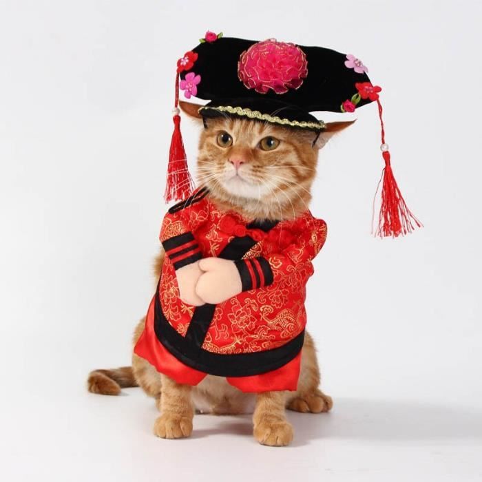 Princess M Deguisement De Pirate Pour Chat Costume D Halloween Amusant Vetement Chaud Costume De Fete Corsaire Adapte Aux Anima Cdiscount