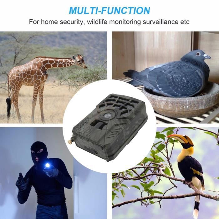 Muddy ‎MUD-VRZ Jeu de chasse Faune en extérieur Caméra de chasse 16