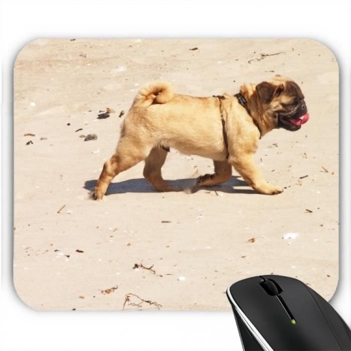 Tapis De Souris Petit Chien Carlin Bebe Cdiscount Informatique