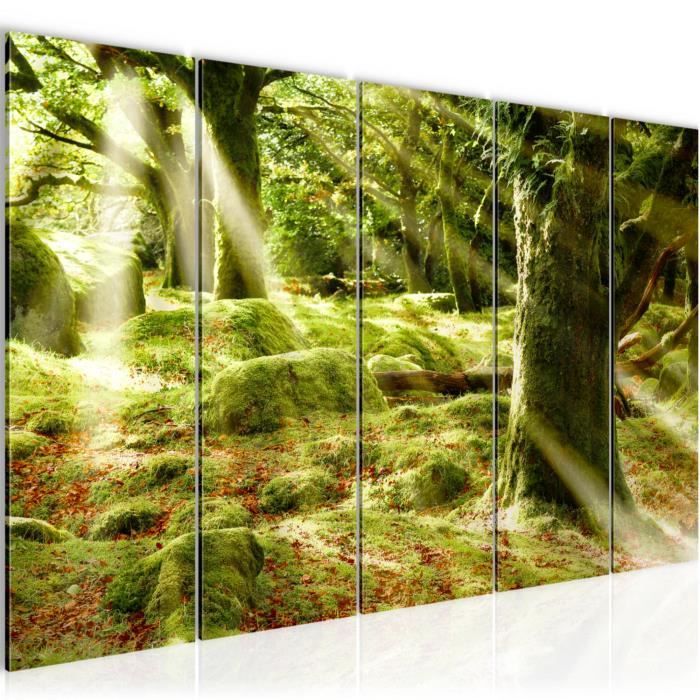 Tableau Toile Imprimée Paysage De Forêt - Plusieurs Tailles, Encadré, Prêt à Accrocher