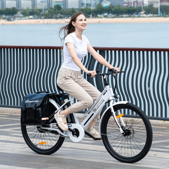 Sac De Porte-bagages Vélo 5L Résistant à L'eau - Sacoche Arrière Pour VTT, Vélo De Route, VAE | Réfléchissant, Réglable