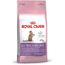 Nourriture Pour Chats Royal Canin Chatons Sterilises De 6 A 12 Mois 400g 300 Achat Vente Croquettes Nourriture Pour Chats Roy Cdiscount Nourriture Pour Chats Royal Canin Chatons Sterilises De 6 A 12 Mois 400g 300 Achat Vente Croquettes Nourriture Pour Chats Roy Cdiscount