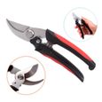 Secateur professionnel