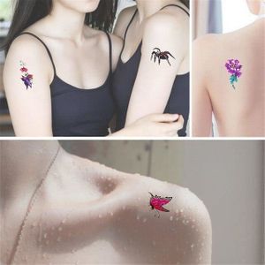 Vidéo d'un tatou sexy Vidéo d'un tatou sexy