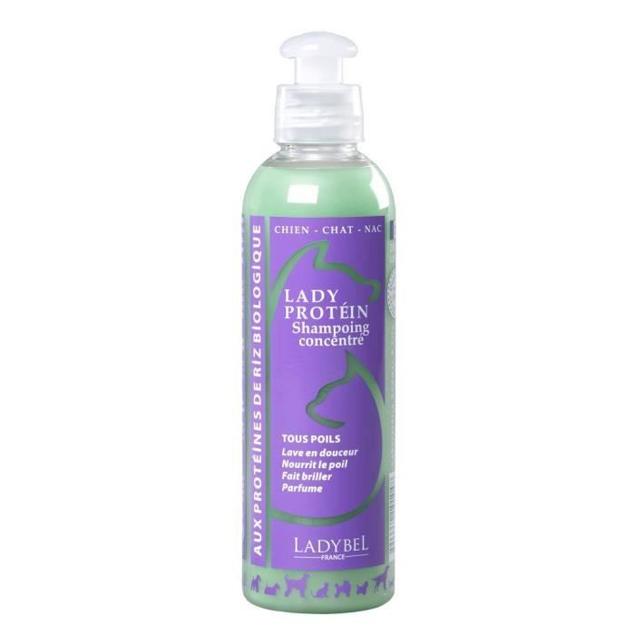 LADYBEL Lady Protéin Shampooing pour Chien
