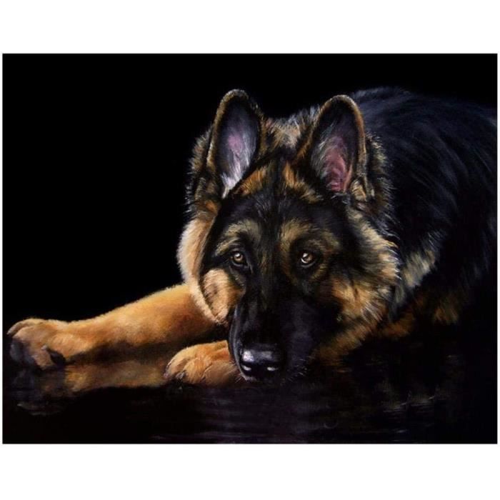 Bricolage 5D Diamant Peinture Point de Croix Animaux Berger Chien Broderie Autocollant 40X50cm@Z1202
