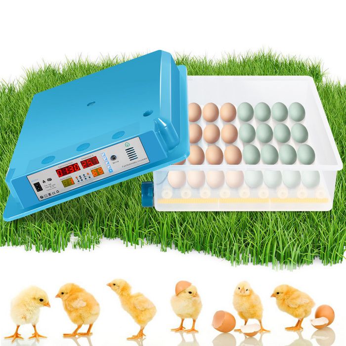Meilleurs prix pour Tubiaz Couveuse Thermomètre à œufs de poule Couveuse Incubateur pour 64 œufs de poule INCUBATEUR