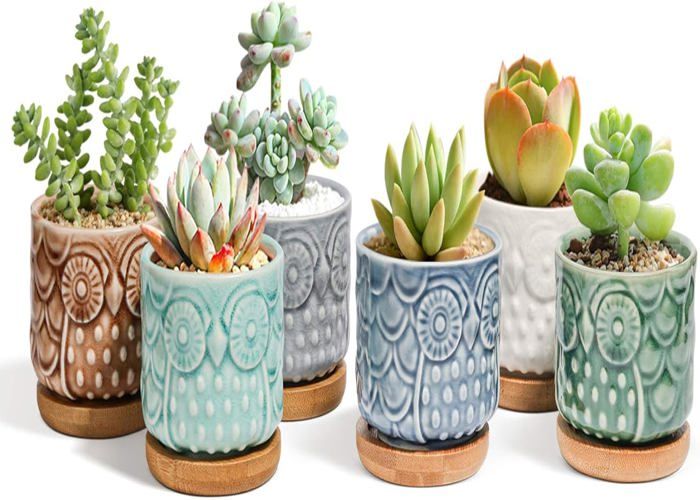 Pots De Céramique En Forme De Dent - Lot De 3 - 9,5 Cm De Haut - Pour Succulentes, Cactus Ou Stylos