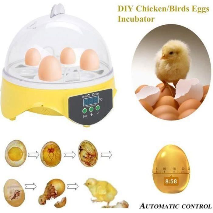 Comparer les prix de Couveuse automatique - YYV - 7 œufs - Affichage digital - Contrôle de température - Intérieur