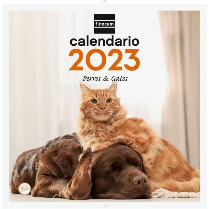 Dohe - Calendrier Mural 2026-12 Mois, Vue Mensuelle, 30x30 Cm