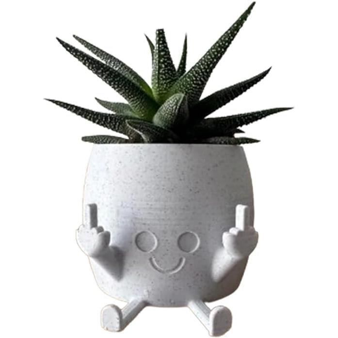 Pot De Fleurs Mignon à Suspendre En Forme De Tête De Visage Souriant Pour Intérieur Et