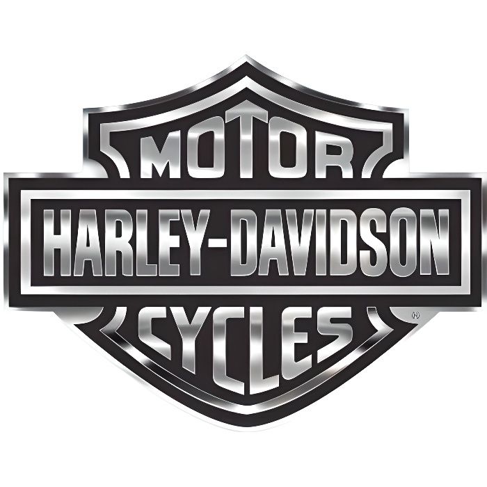 Autocollant rétro éclairant Harley Davidson pour casque de moto - Cdiscount  Auto
