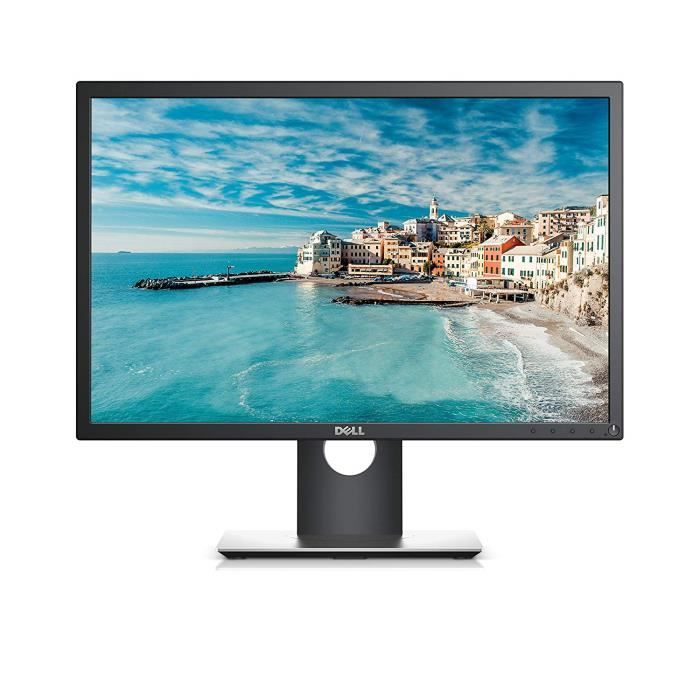 Écrans PC Dell P2217H Ecran PC 22 IPS 1920 x 1080 6 ms Noir 386