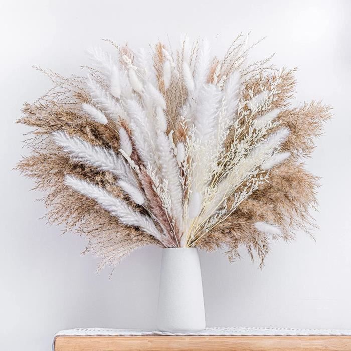 Bouquet Fleurs Séchées Pampa De 86 Pcs, Herbe De La Pampa & Fleur ...