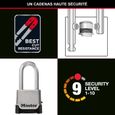 Cadenas Haute Sécurité - MASTER LOCK - M176EURDLH - Zinc - Anse XL - Extérieur-2