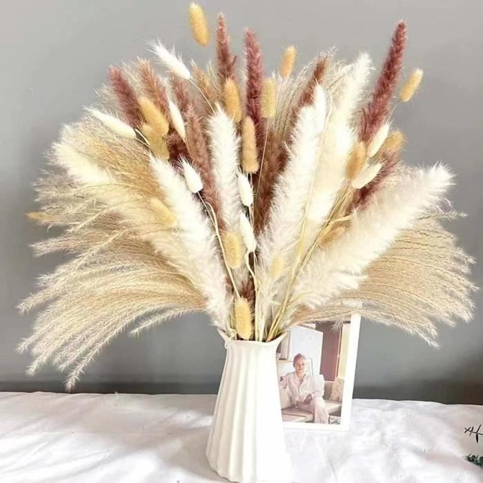 Bouquet Fleurs Séchées Pampa De 86 Pcs, Herbe De La Pampa & Fleur ...