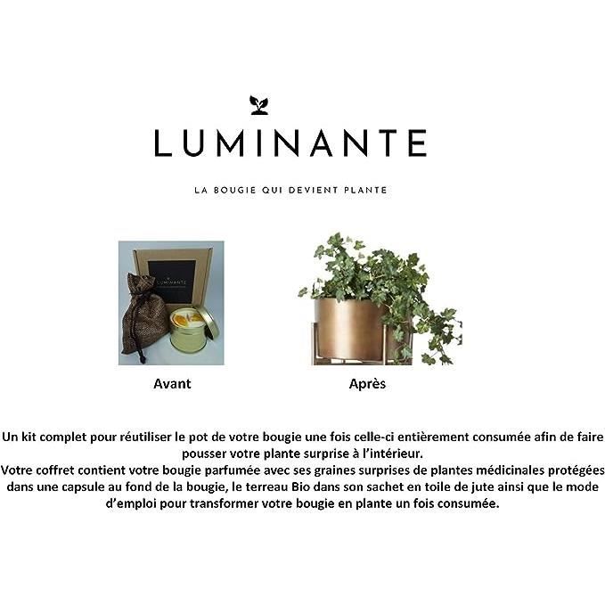 Luminante - La bougie qui devient plante - Senteur Pomme d'Amour