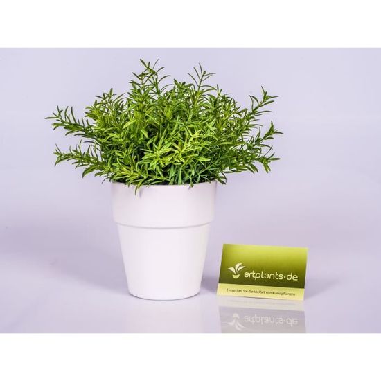 asperge /à Fleur Asparagus dans Un Pot d/écoratif trait/é Anti-UV 25cm/ - Plante en Pot artplants.de Petite Plante Verte Artificielle