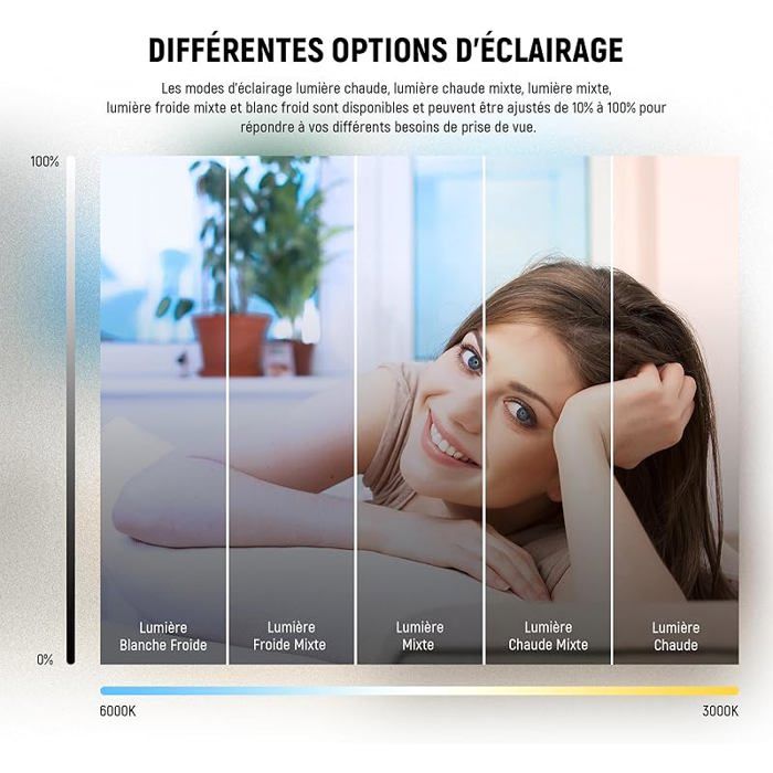 Ring Light 5& 34; avec Mini Trépied pour Vidéoconférence Kit Streaming ...