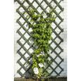 Nature Trellis de jardin Palissade de jardin pour Plantes Grimpantes et Rosiers - 50 x 150 cm Bois Vert classique💎7983-0
