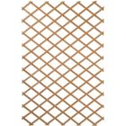 Nature Treillis de jardin 100 x 300 cm Bois Marron 419779