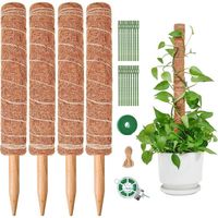 Tuteur Plante Grimpante - Tuteur en fibres de coco - H40 cm - Poteau Totémique pour Plantes de Jardin et Pots